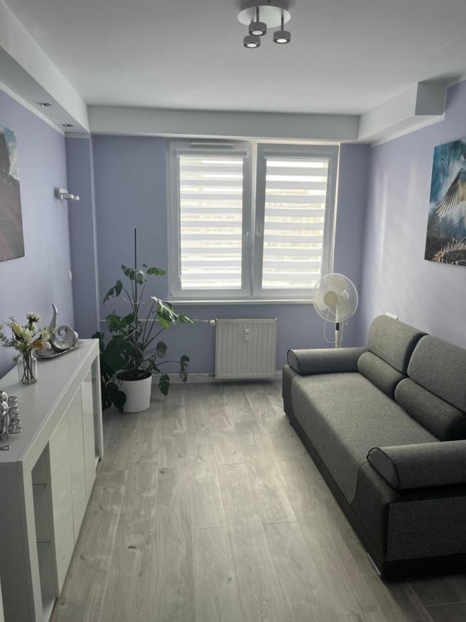 Nysa-Rynek Apartment Luaran gambar